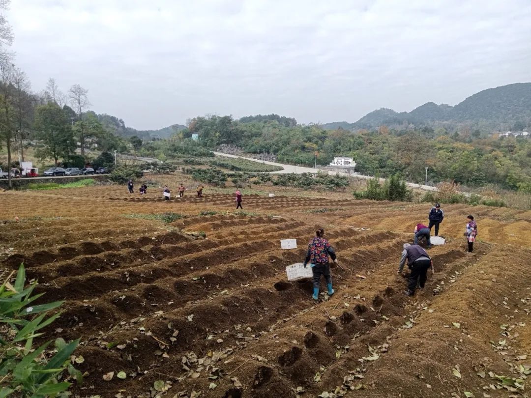 6334623d40f23b7f65f7eb94cb158b9a.jpg 6334623d40f23b7f65f7eb94cb158b9a.jpg